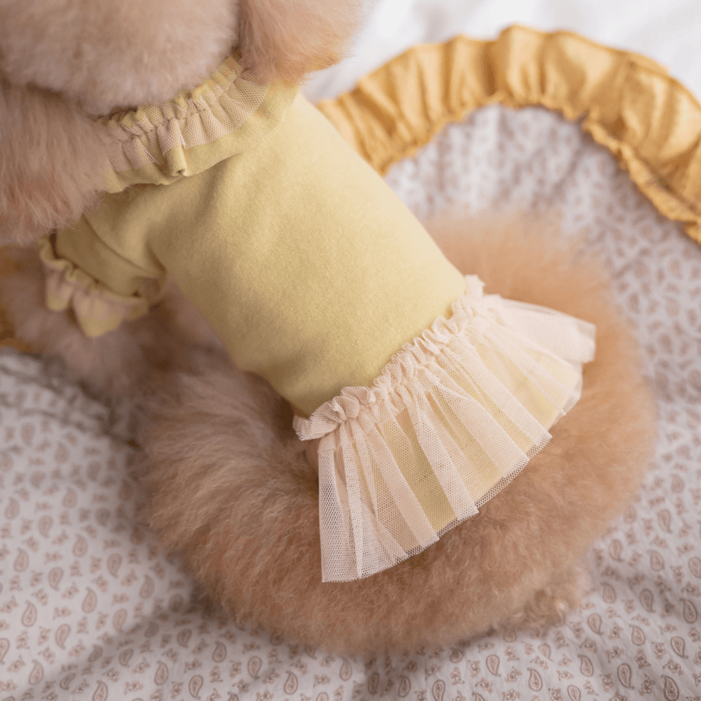 Plie Tu-Tu T-shirt(Mustard)