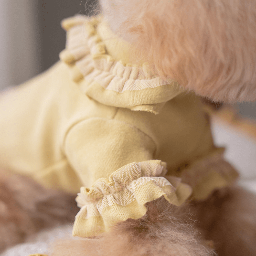 Plie Tu-Tu T-shirt(Mustard)