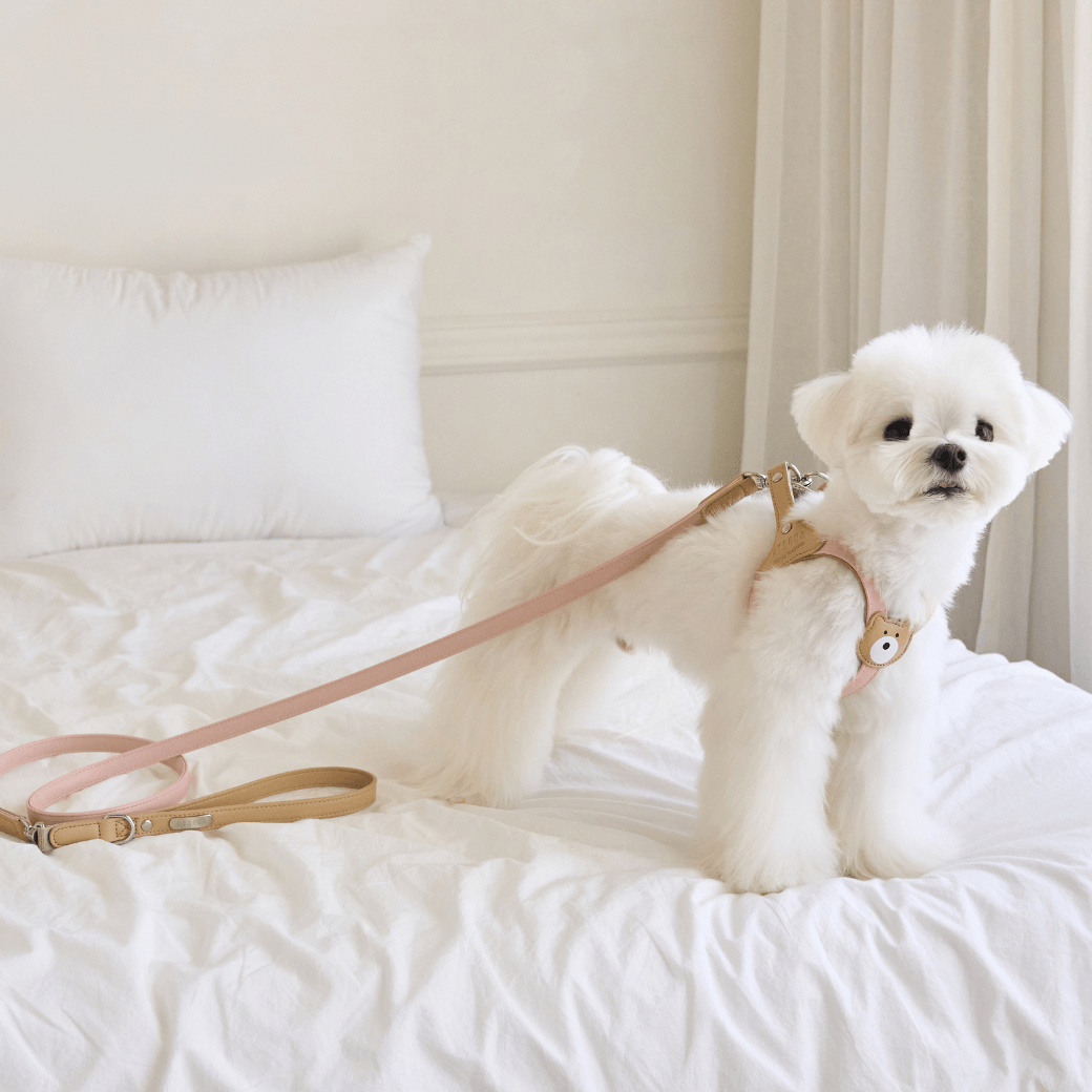 BEAR HARNESS(Indi Pink)