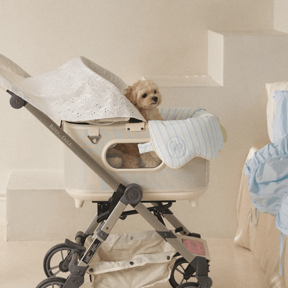 【予約】Fluffy Buggy Guard (Candy Stripe)