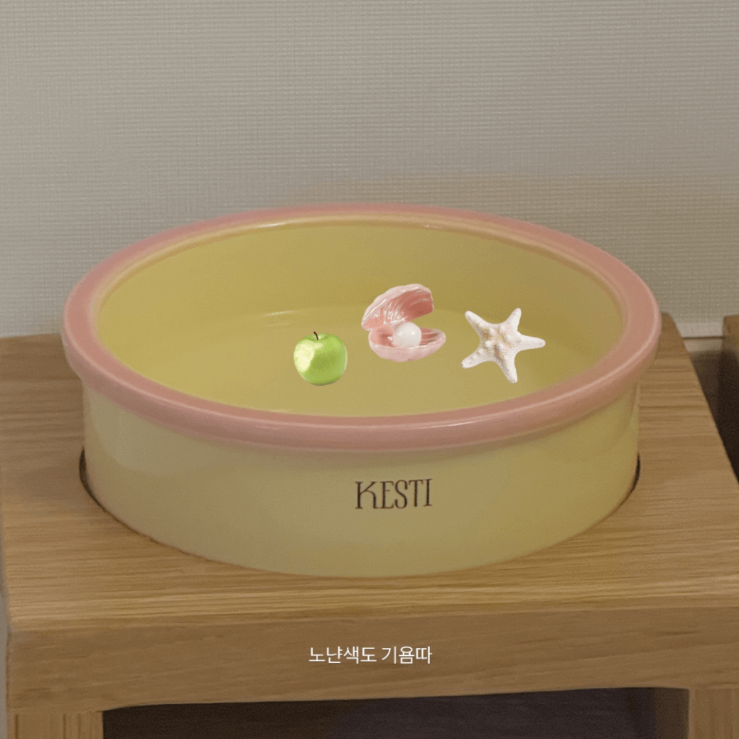 Line Bowl S (5color)