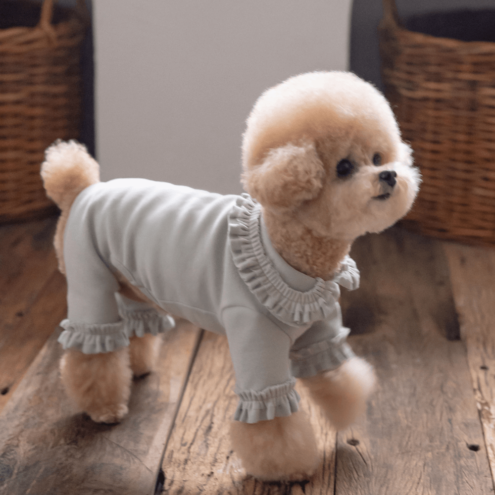 Plie Tu-Tu All in one(Mint)