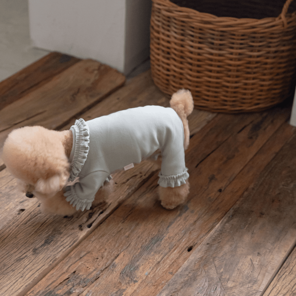 Plie Tu-Tu All in one(Mint)