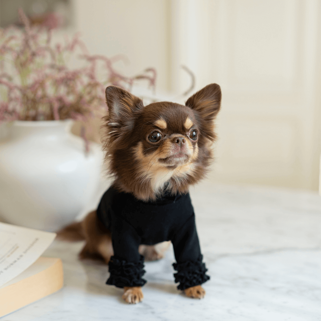 Lace Long Sleeve Turtleneck(Black)