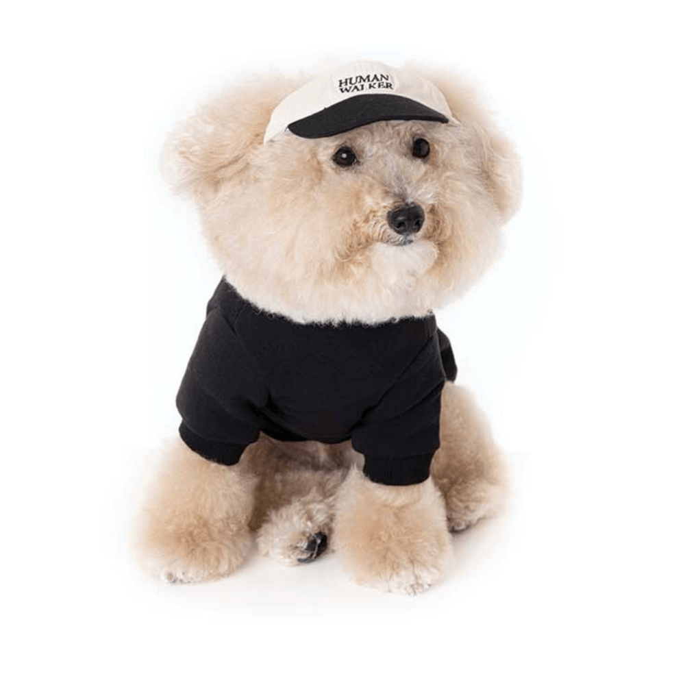 Dog Ball Cap(4COLOR)