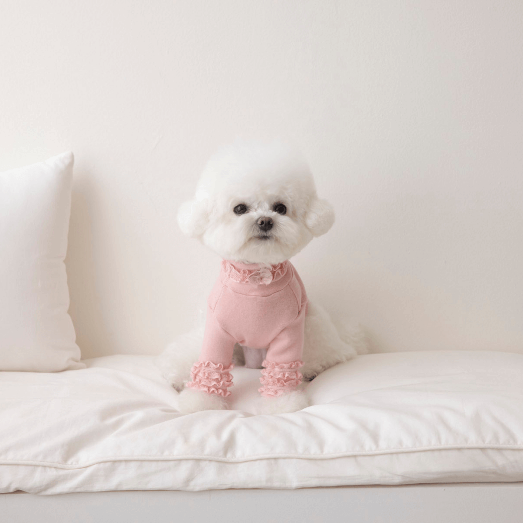 Lace Long Sleeve Turtleneck(Light Pink)