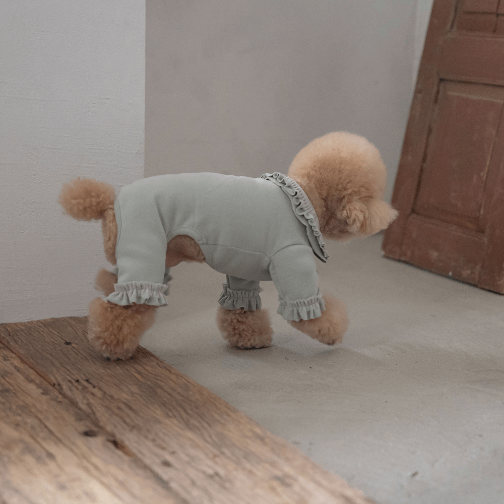 Plie Tu-Tu All in one(Mint)