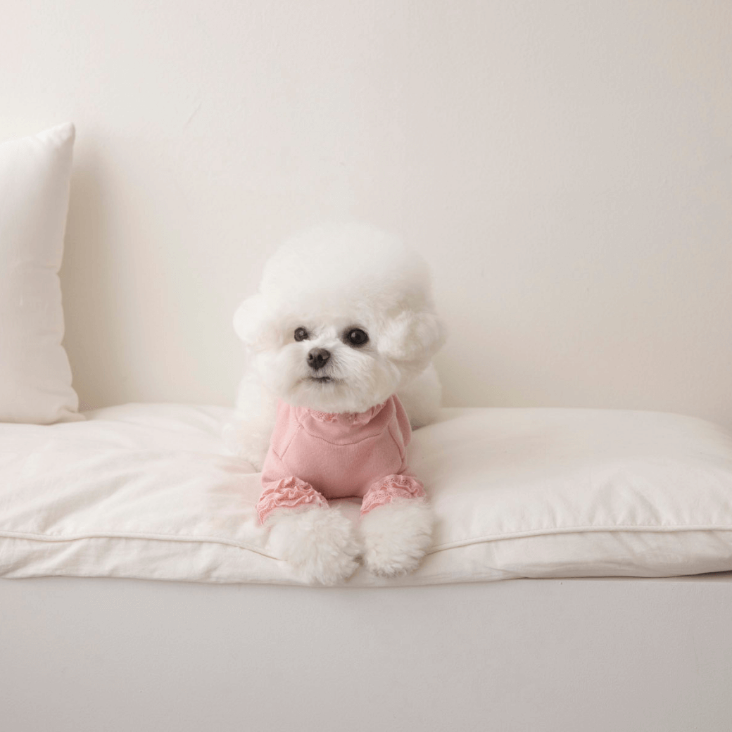 Lace Long Sleeve Turtleneck(Light Pink)