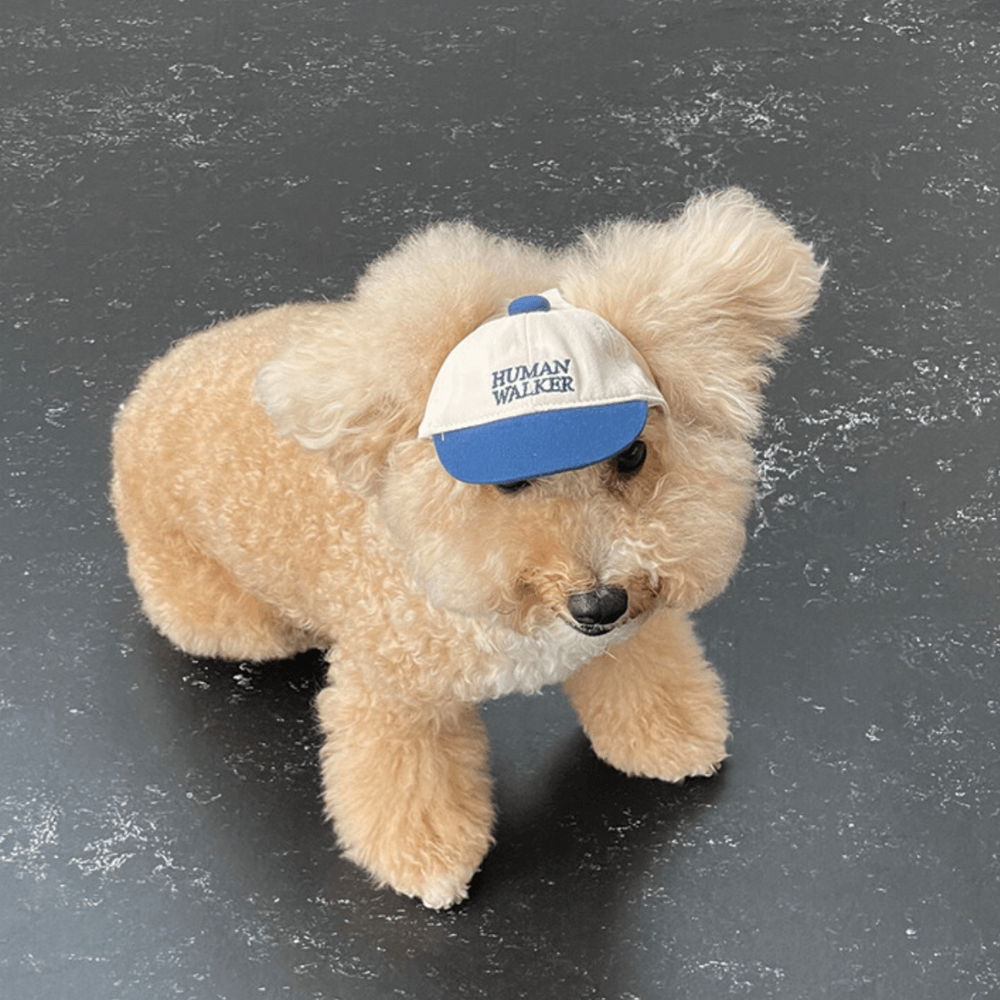 Dog Ball Cap(4COLOR)