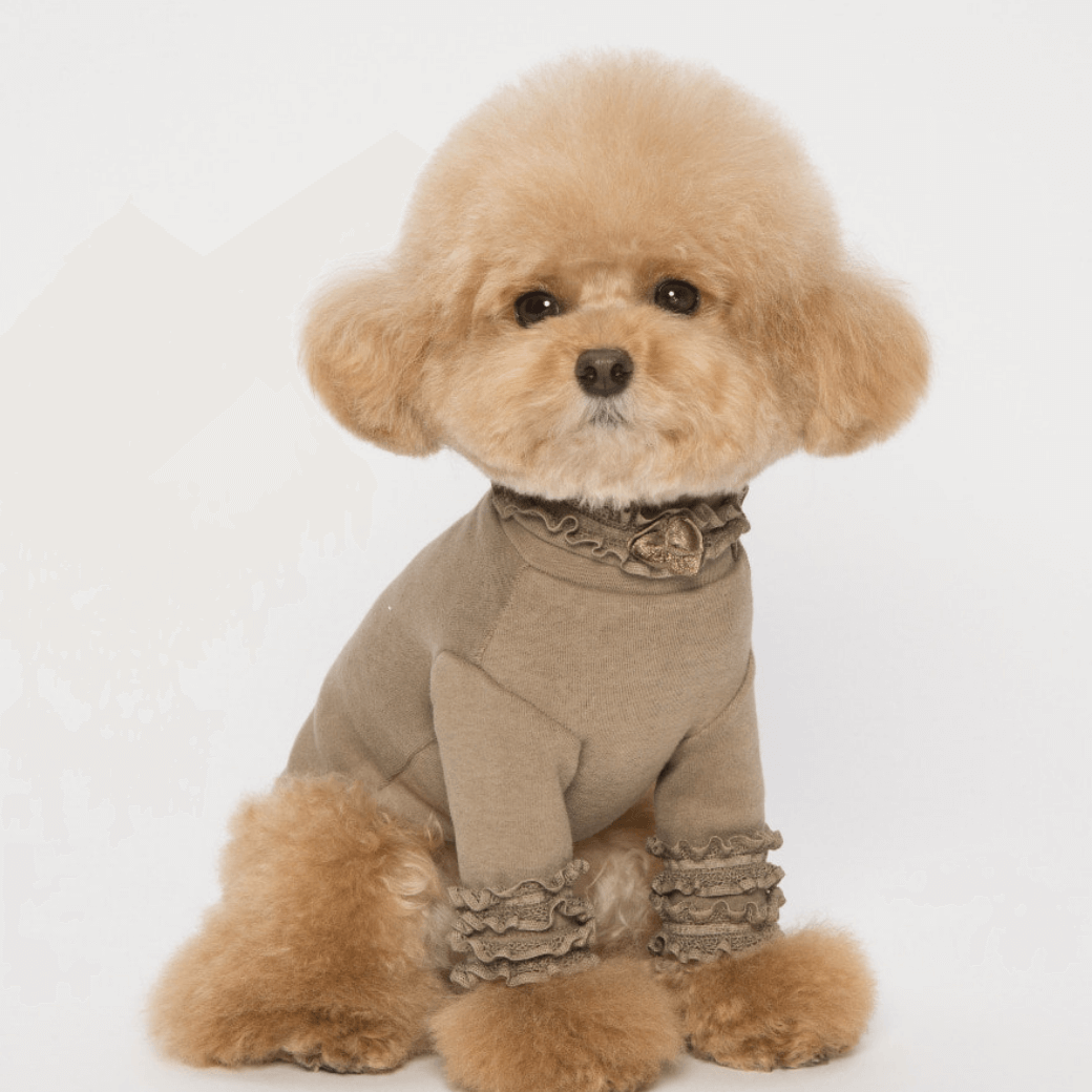 Lace Long Sleeve Turtleneck(Olive Khaki)