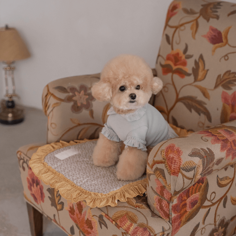 Plie Tu-Tu T-shirt(Mint)