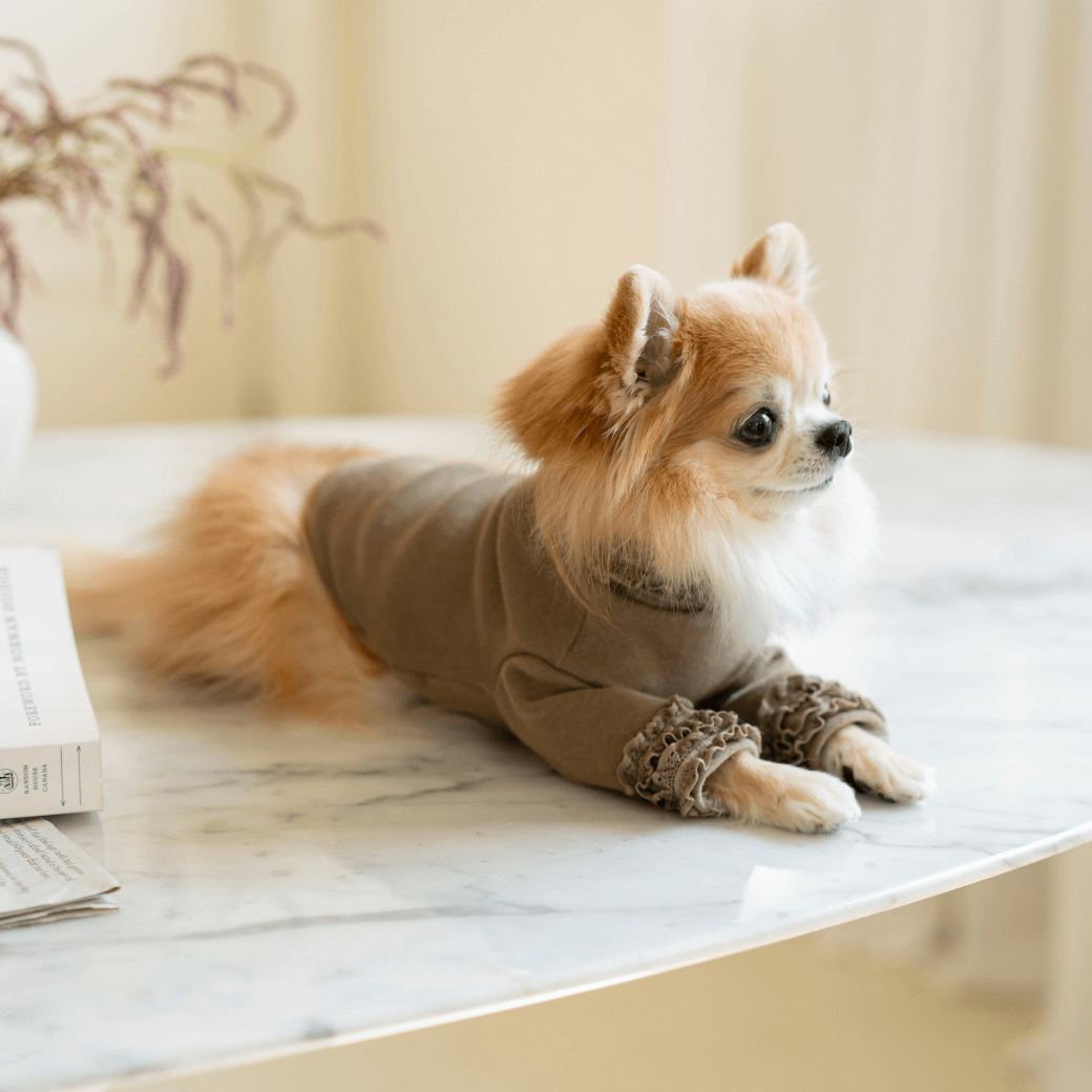 Lace Long Sleeve Turtleneck(Olive Khaki)