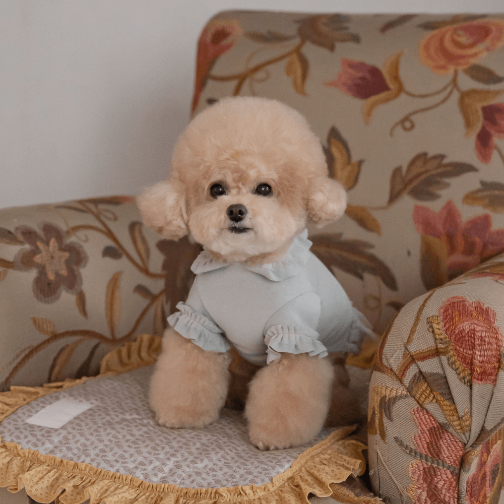 Plie Tu-Tu T-shirt(Mint)