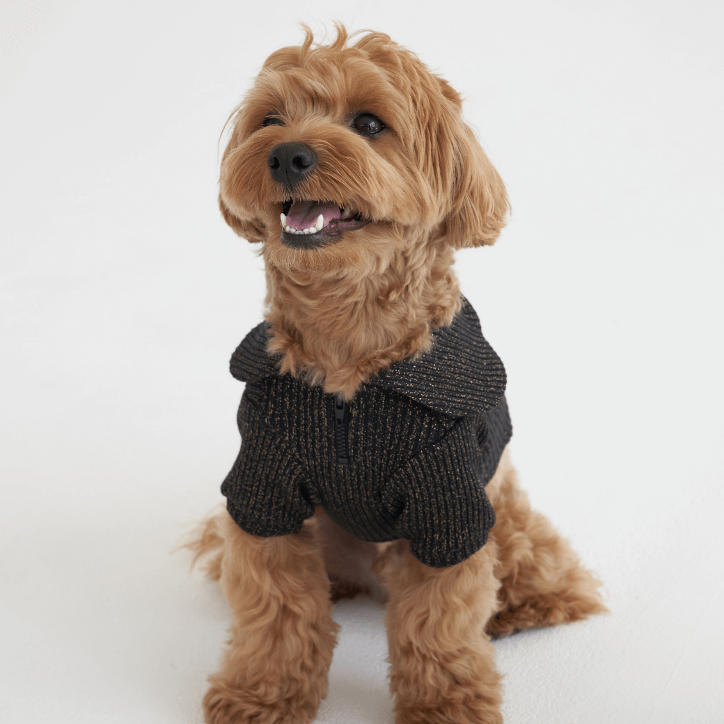 Twinkle Sailor Collar Knit (Jet Black)