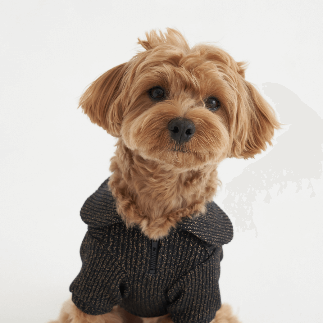 Twinkle Sailor Collar Knit (Jet Black)