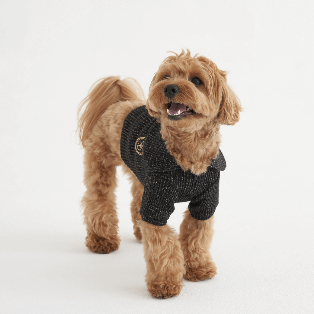 Twinkle Sailor Collar Knit (Jet Black)