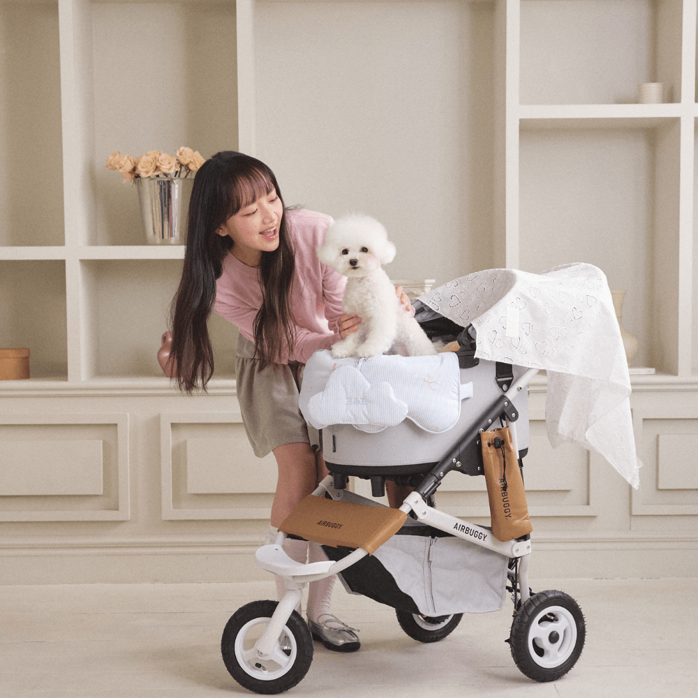 Fluffy Buggy Guard (Dream Sky)