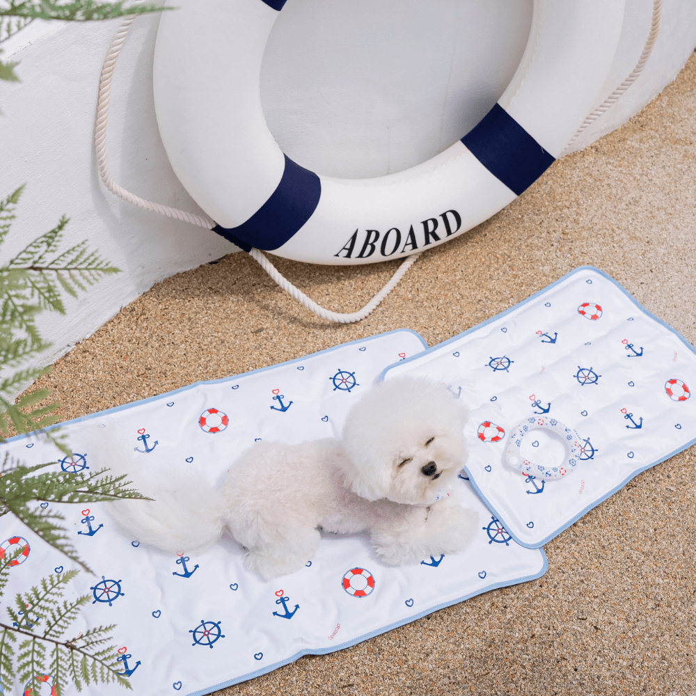 【予約】True COOL Ice Mat (4COLOR)