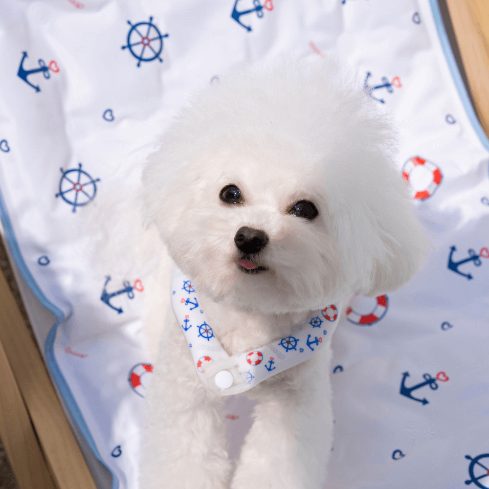 【予約】True COOL Ice Mat (4COLOR)