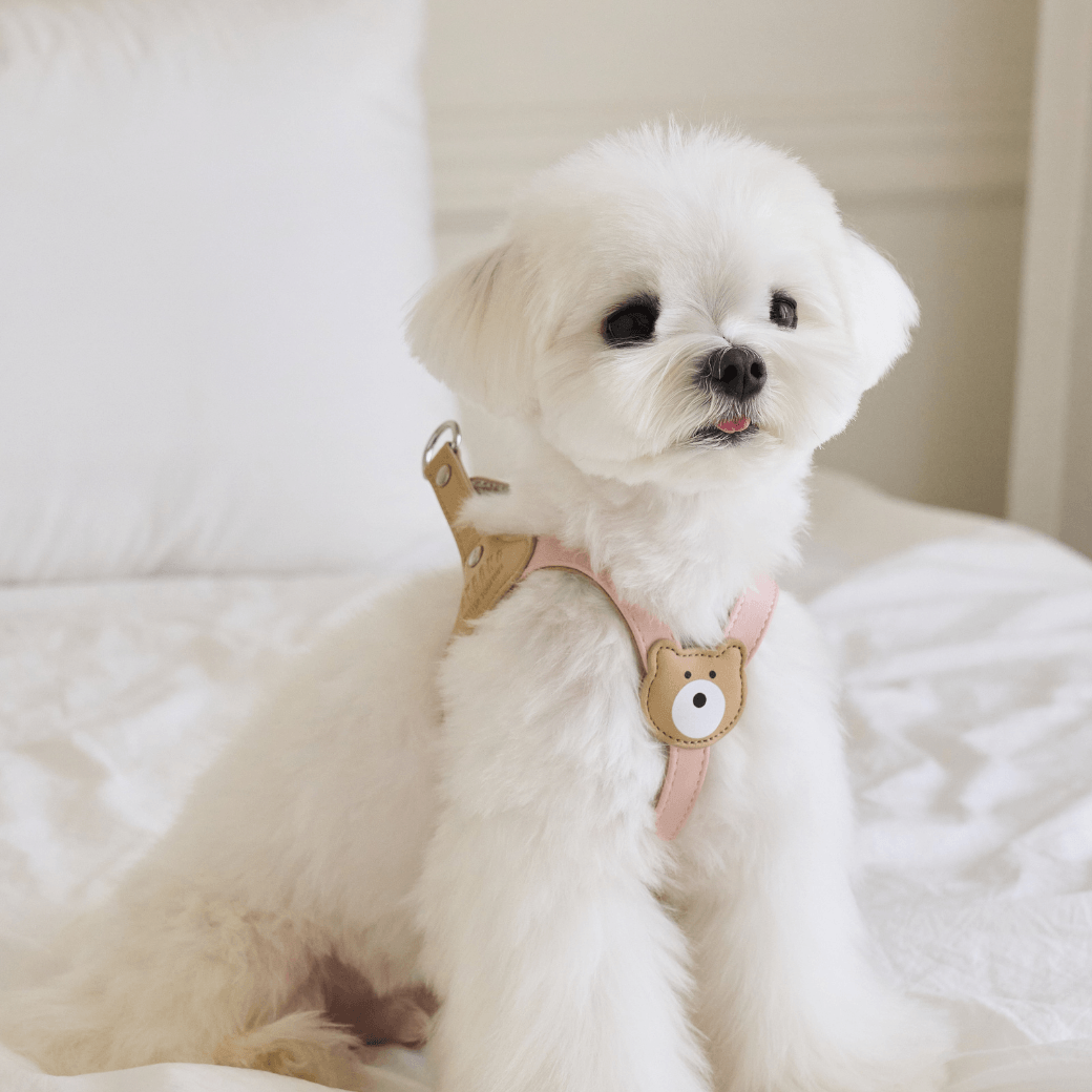 BEAR HARNESS(Indi Pink)