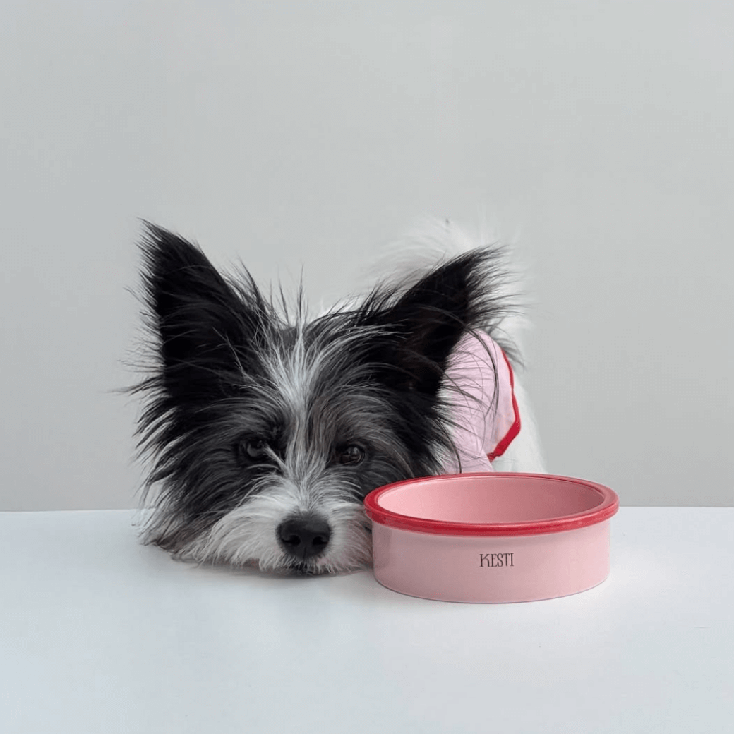 Line Bowl S (5color)