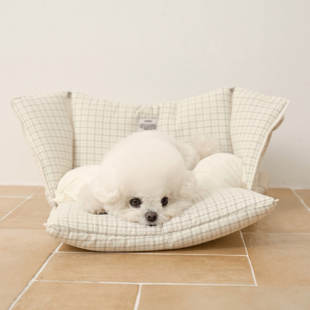 【予約】open bag - check ivory(APERTY)
