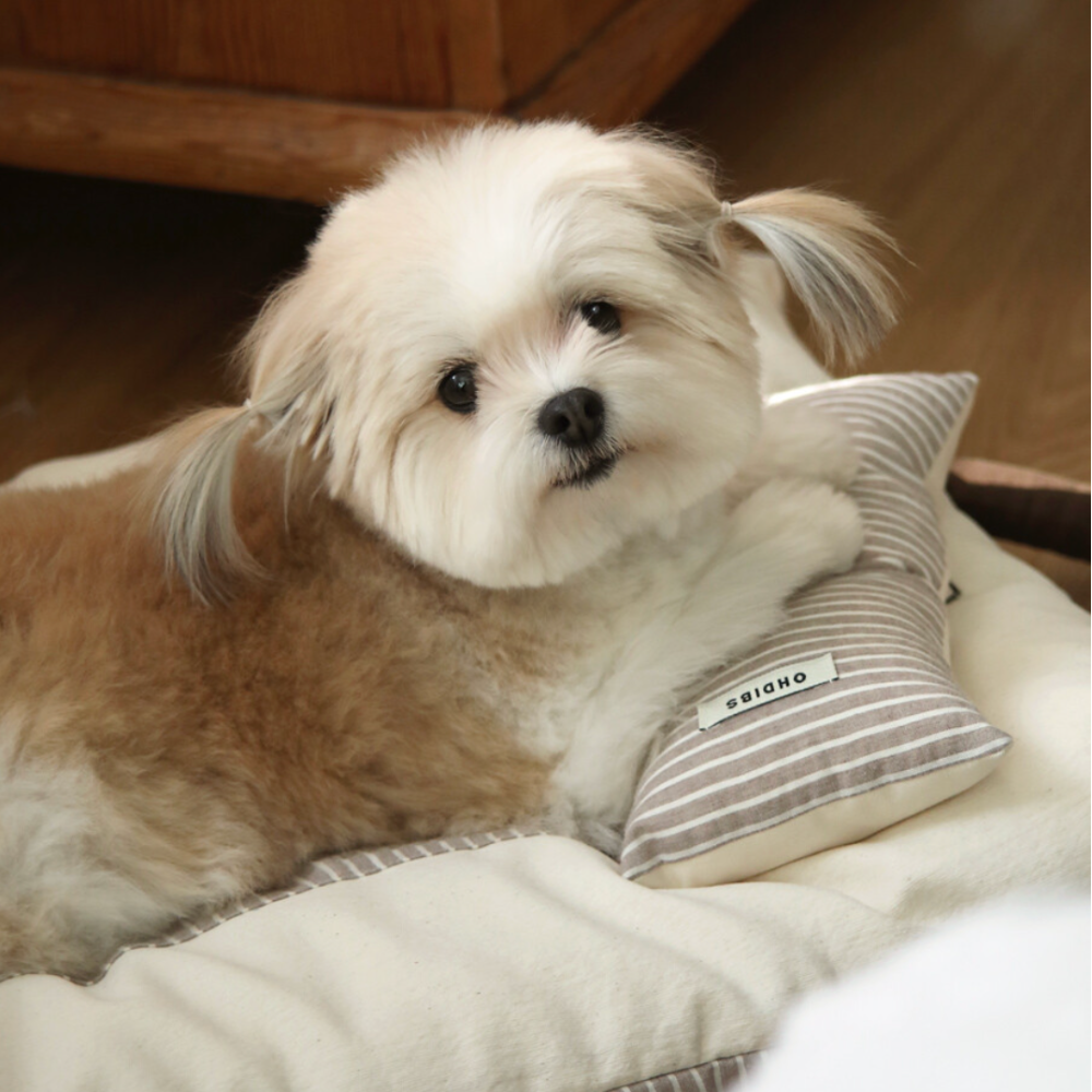 Mini Square Pillow(cocoa)