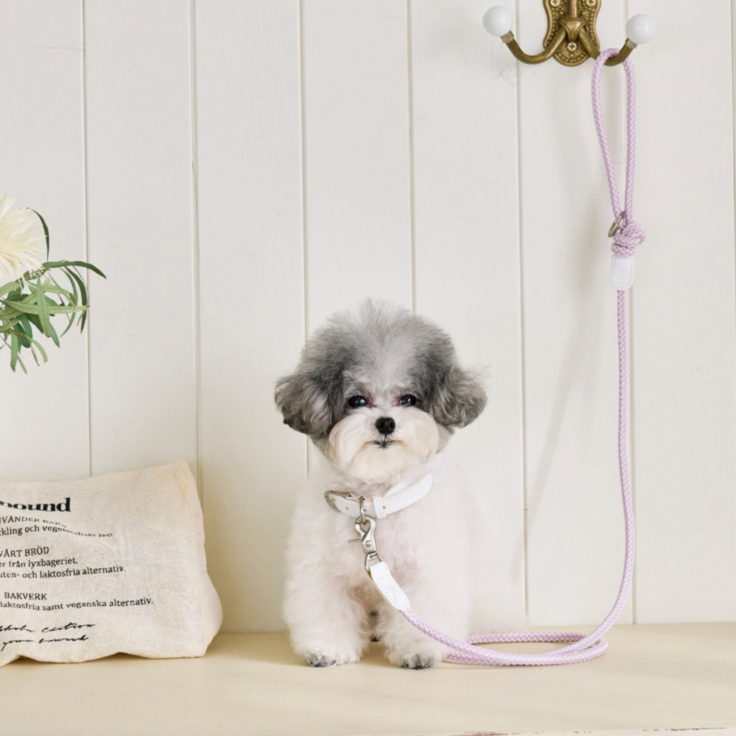 Rope Leash (Lilac)
