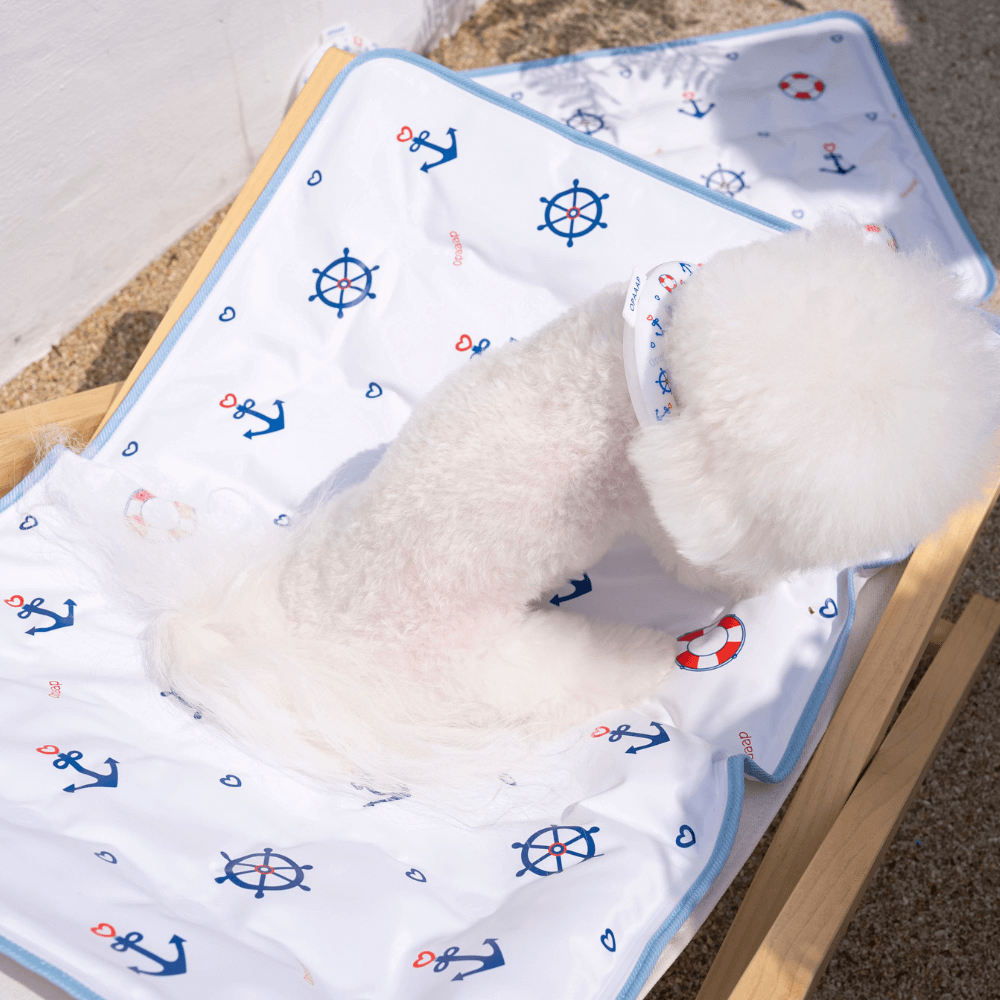 【予約】True COOL Ice Mat (4COLOR)