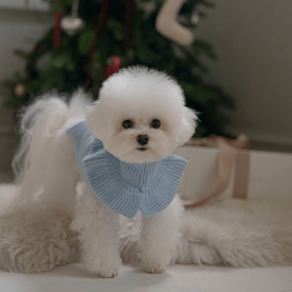 Frill Knit(Ciel Blue)