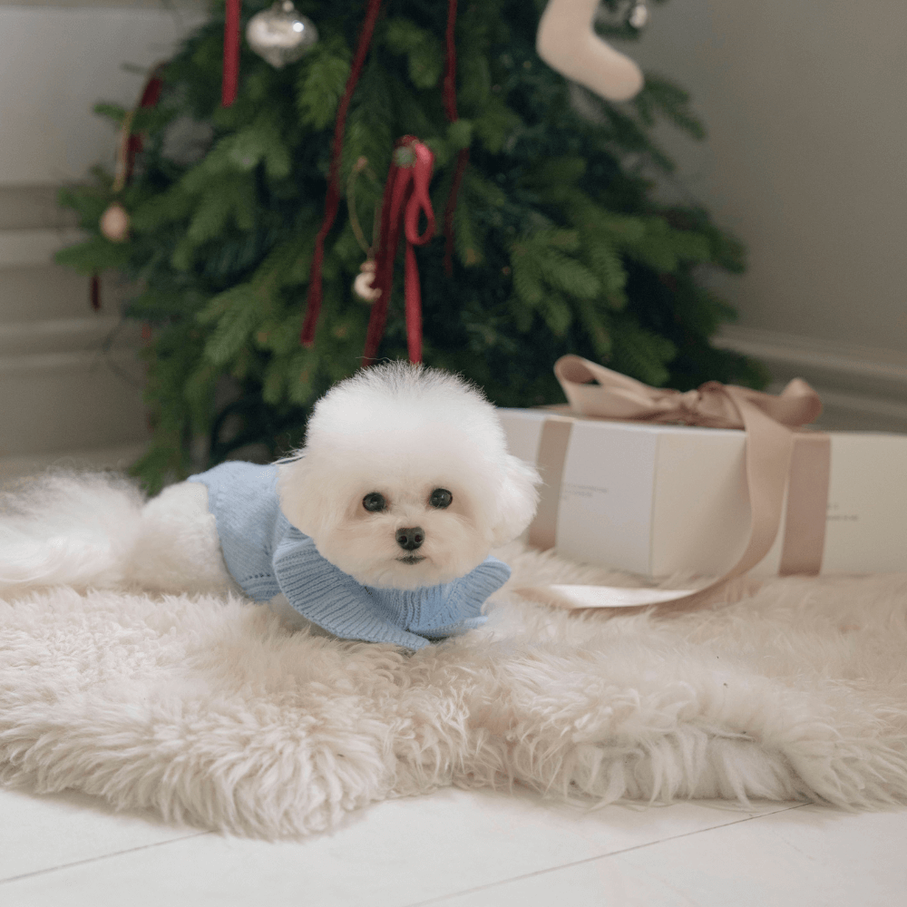 Frill Knit(Ciel Blue)