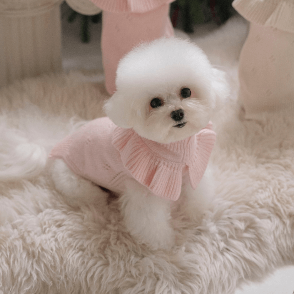 Frill Knit(Strawberry Pink)