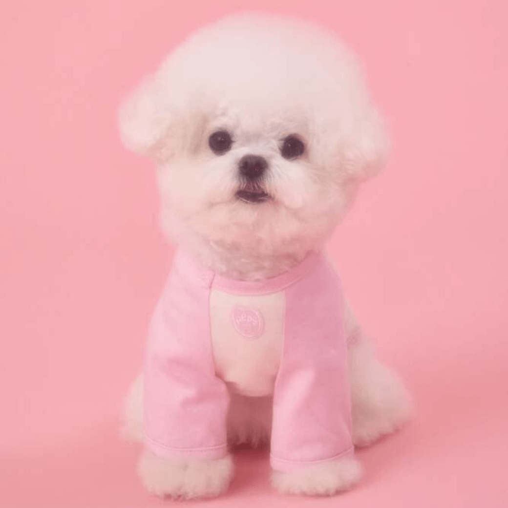 MIU RAGLAN TEE