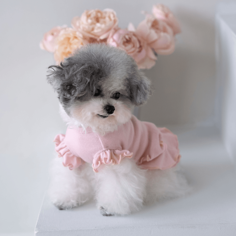 Flutter Dress(Powder Pink)