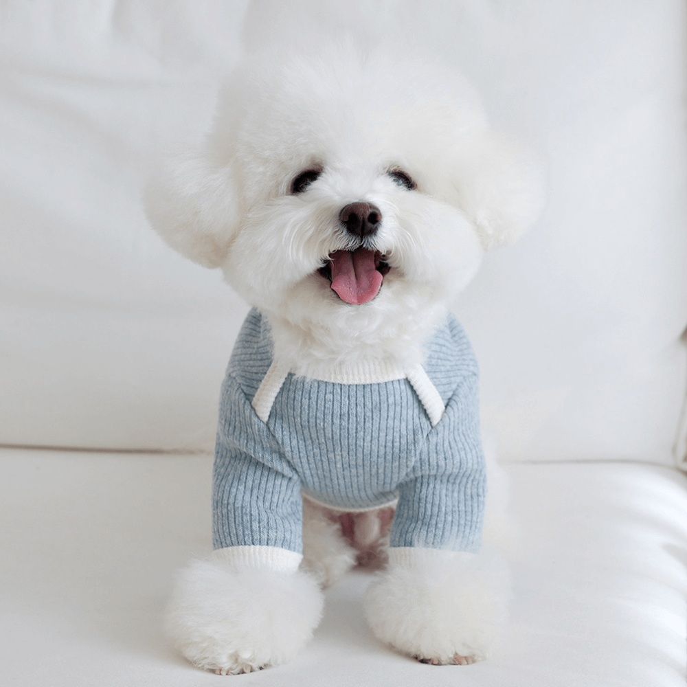 palette wool knit top (cloud blue)