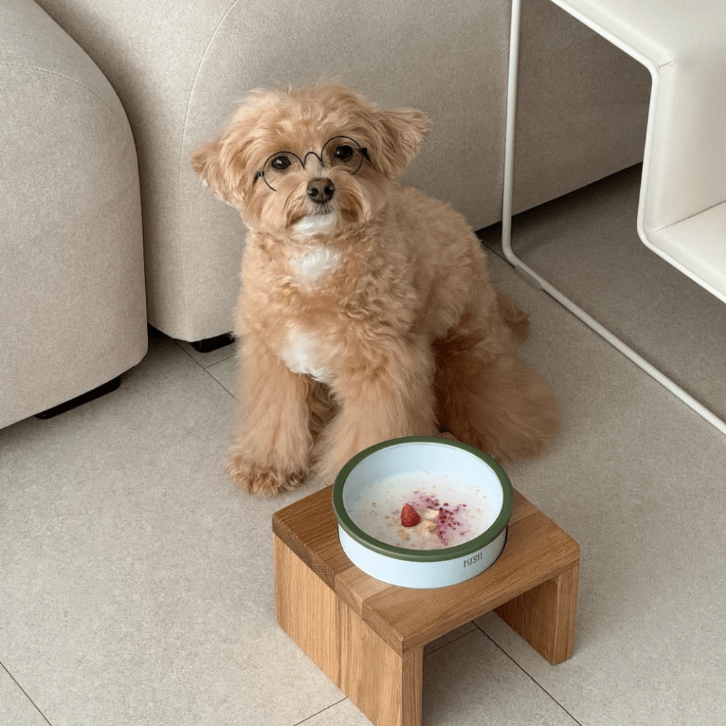 Line Bowl S (5color)