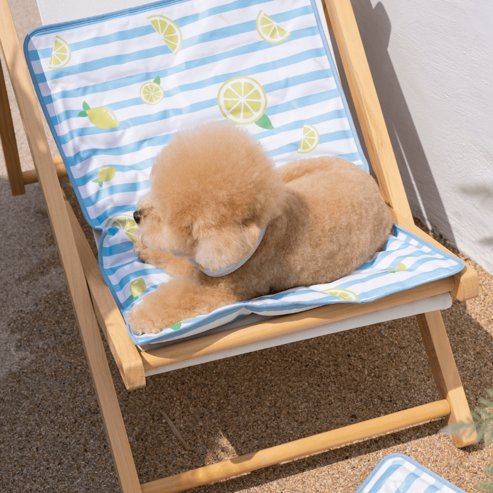 【予約】True COOL Ice Mat (4COLOR)