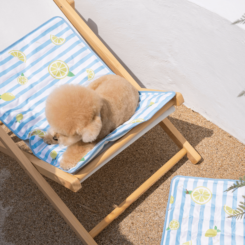 【予約】True COOL Ice Mat (4COLOR)
