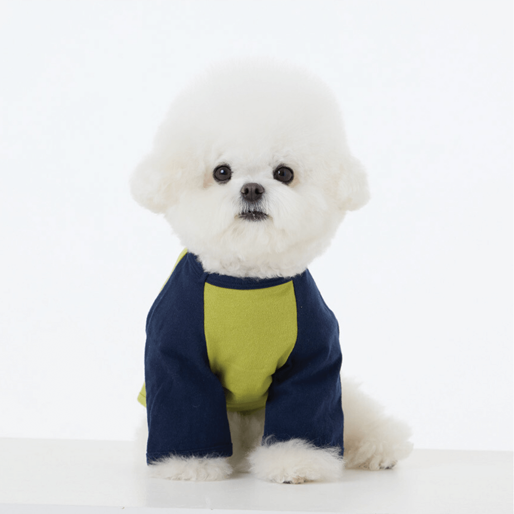 I'm cool raglan T-shirt