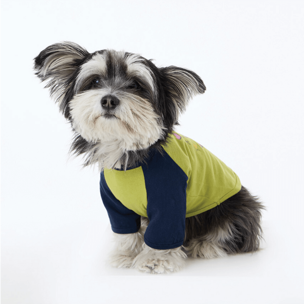 I'm cool raglan T-shirt