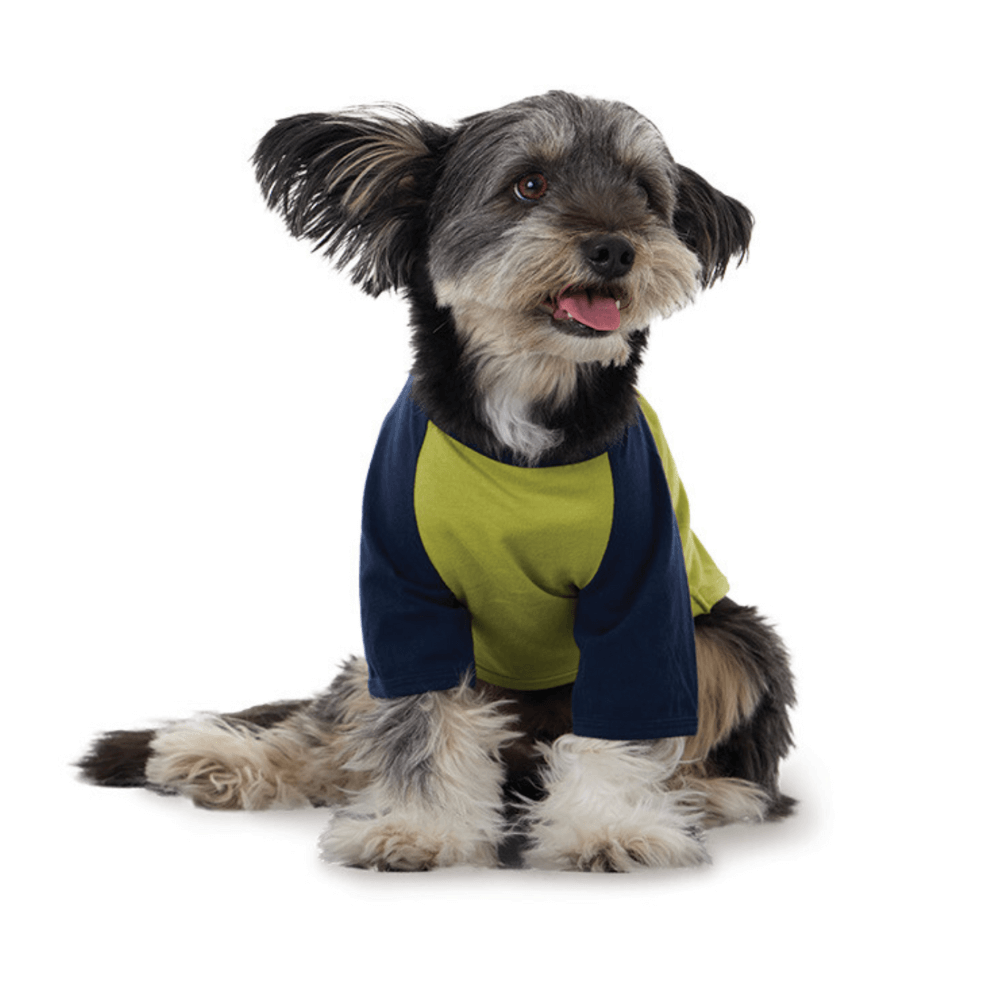 I'm cool raglan T-shirt