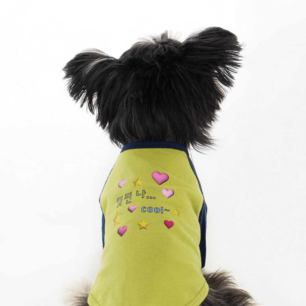 I'm cool raglan T-shirt