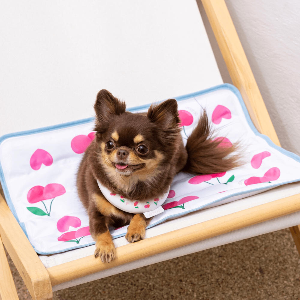 【予約】True COOL Ice Mat (4COLOR)