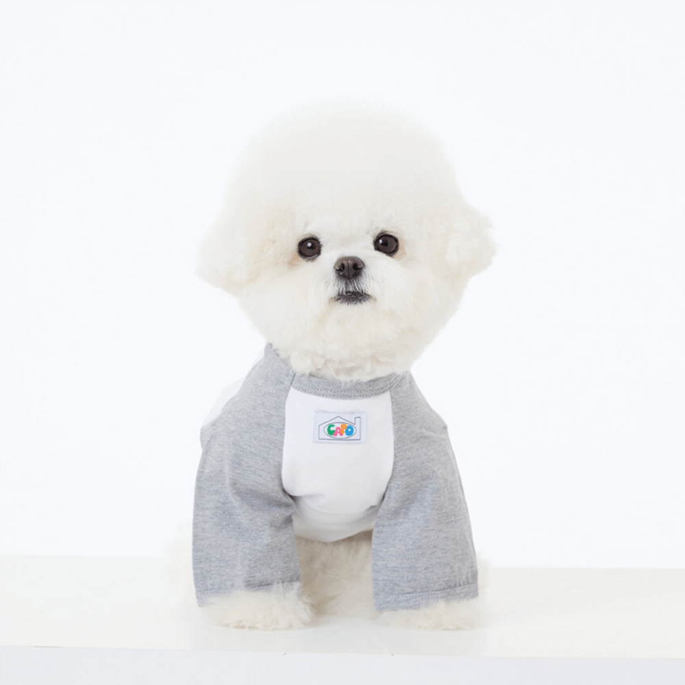 Dog walk effects T-shirt