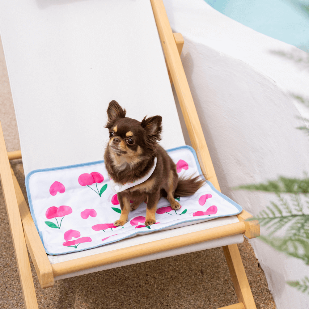 【予約】True COOL Ice Mat (4COLOR)