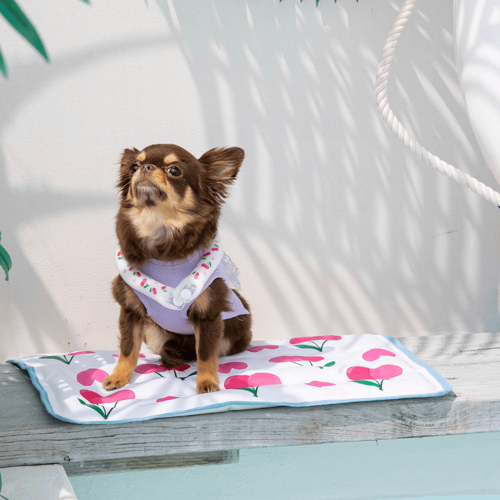 【予約】True COOL Ice Mat (4COLOR)