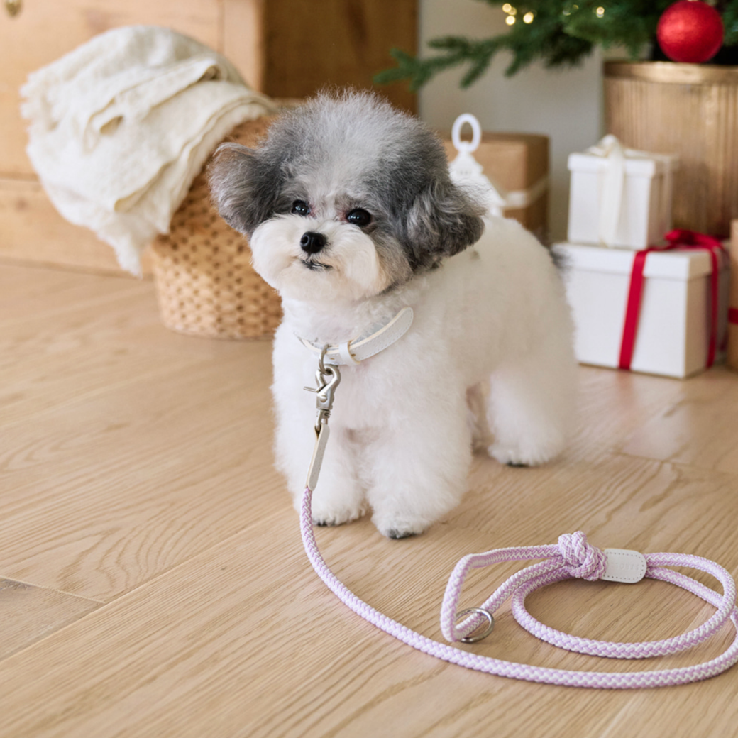 Rope Leash (Lilac)