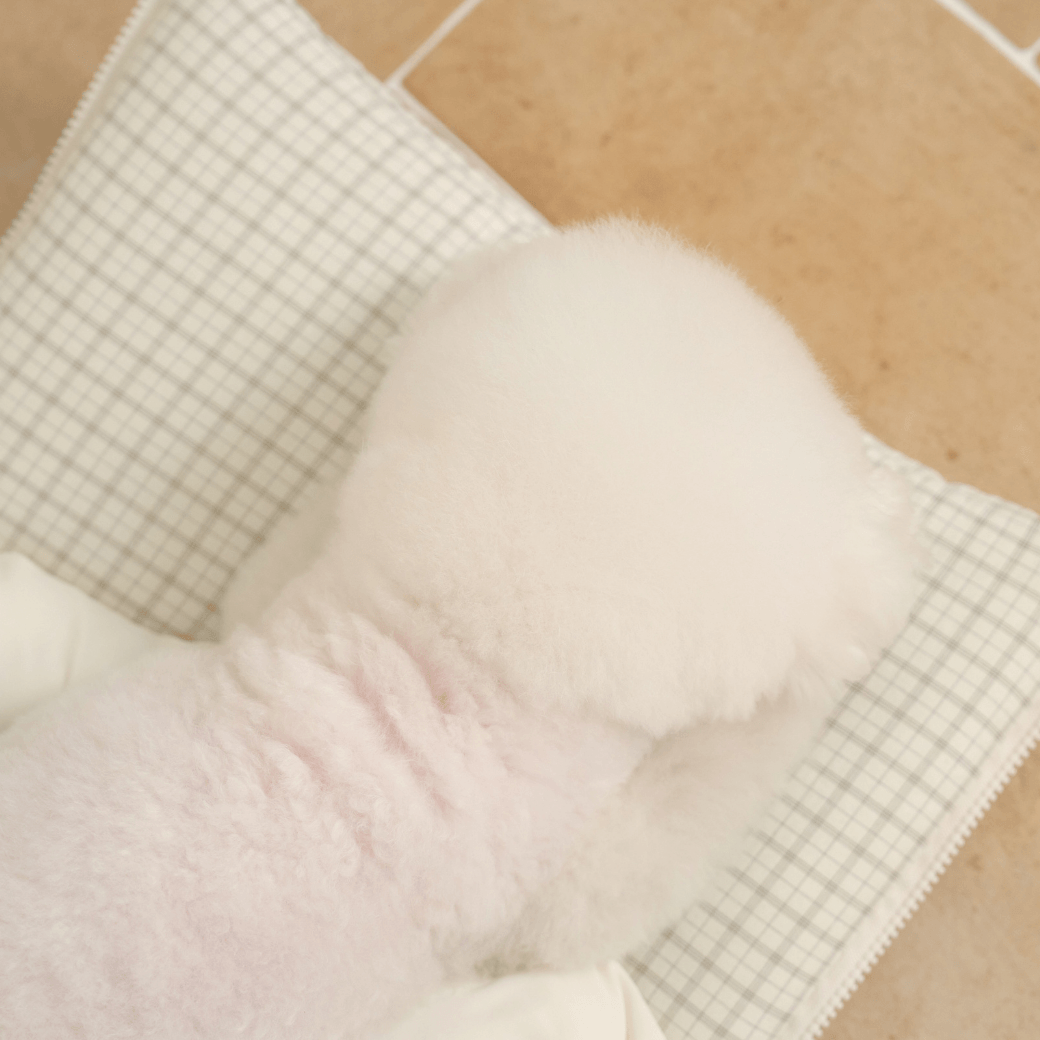 【予約】open bag - check ivory(APERTY)