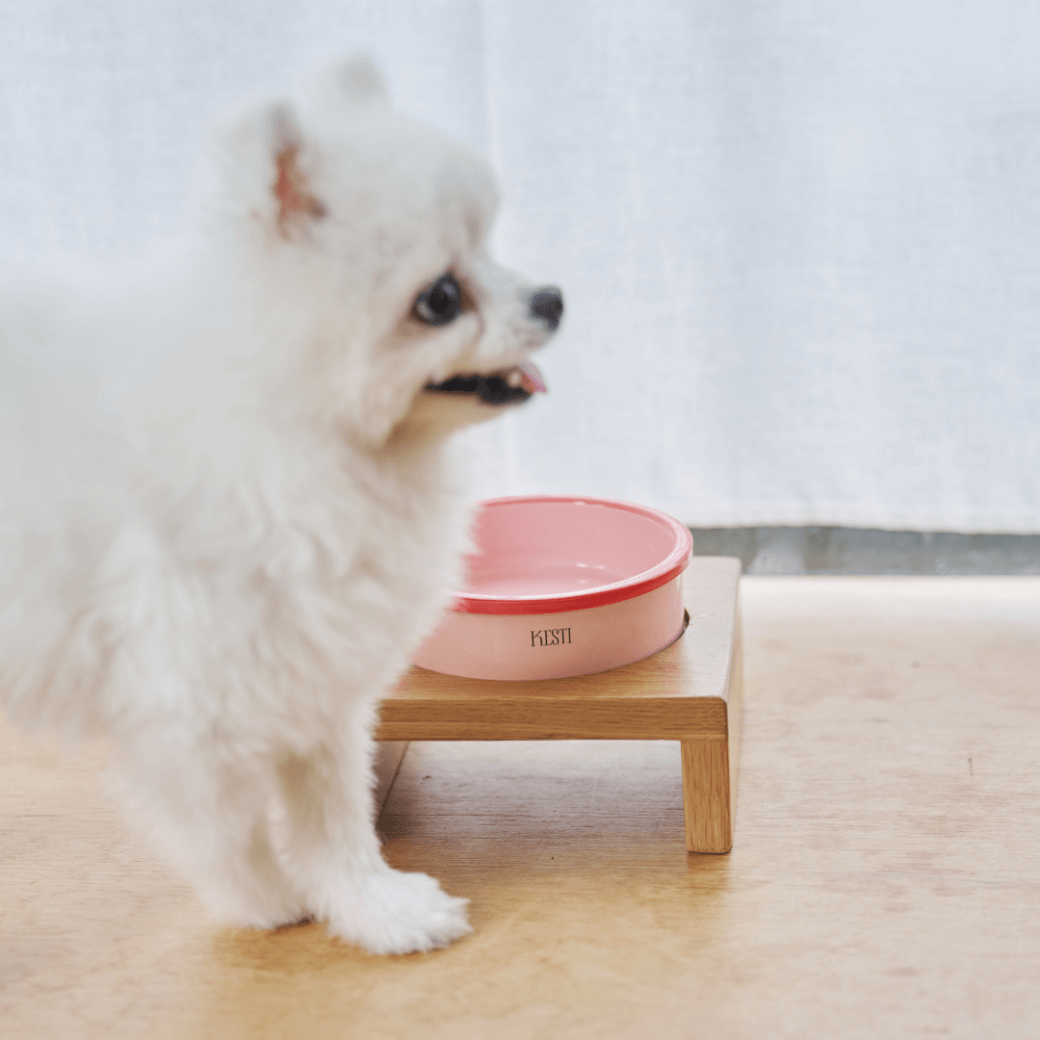 Line Bowl S (5color)