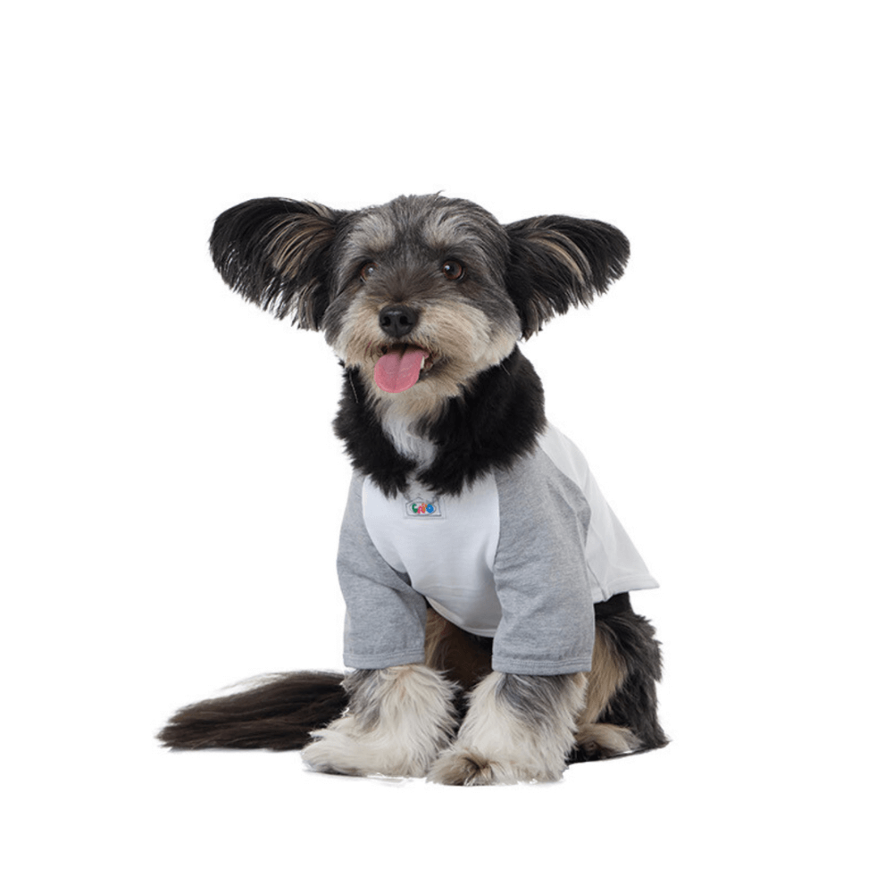 Dog walk effects T-shirt